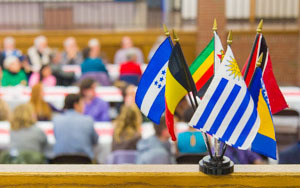 international business major