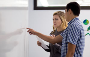 Business Analytics major