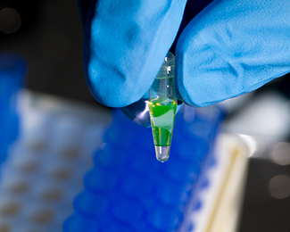 hands and test tubes