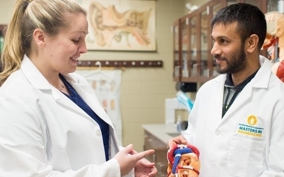 Graduate or Seminary Student