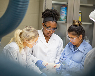 students dissecting a cadaver