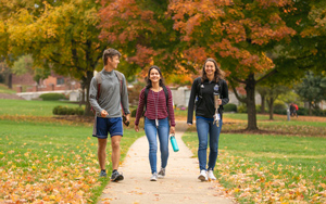 Transfer Application