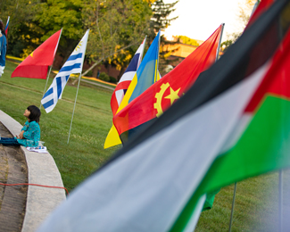 flags from different countries