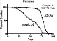 Jeffrey Copeland research diagram