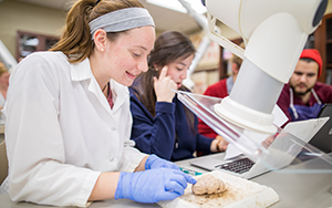 Masters in BioMed Program