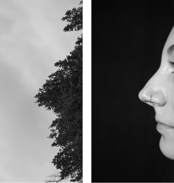 a side view of a tree next to someone's nose