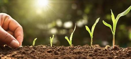 Planting seeds Planting Seeds