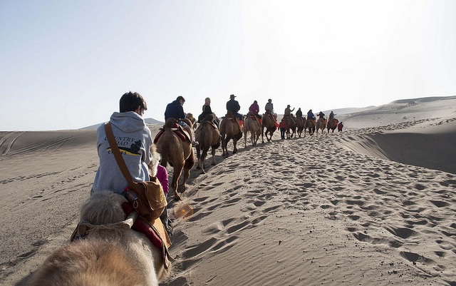 Past intercultural programs