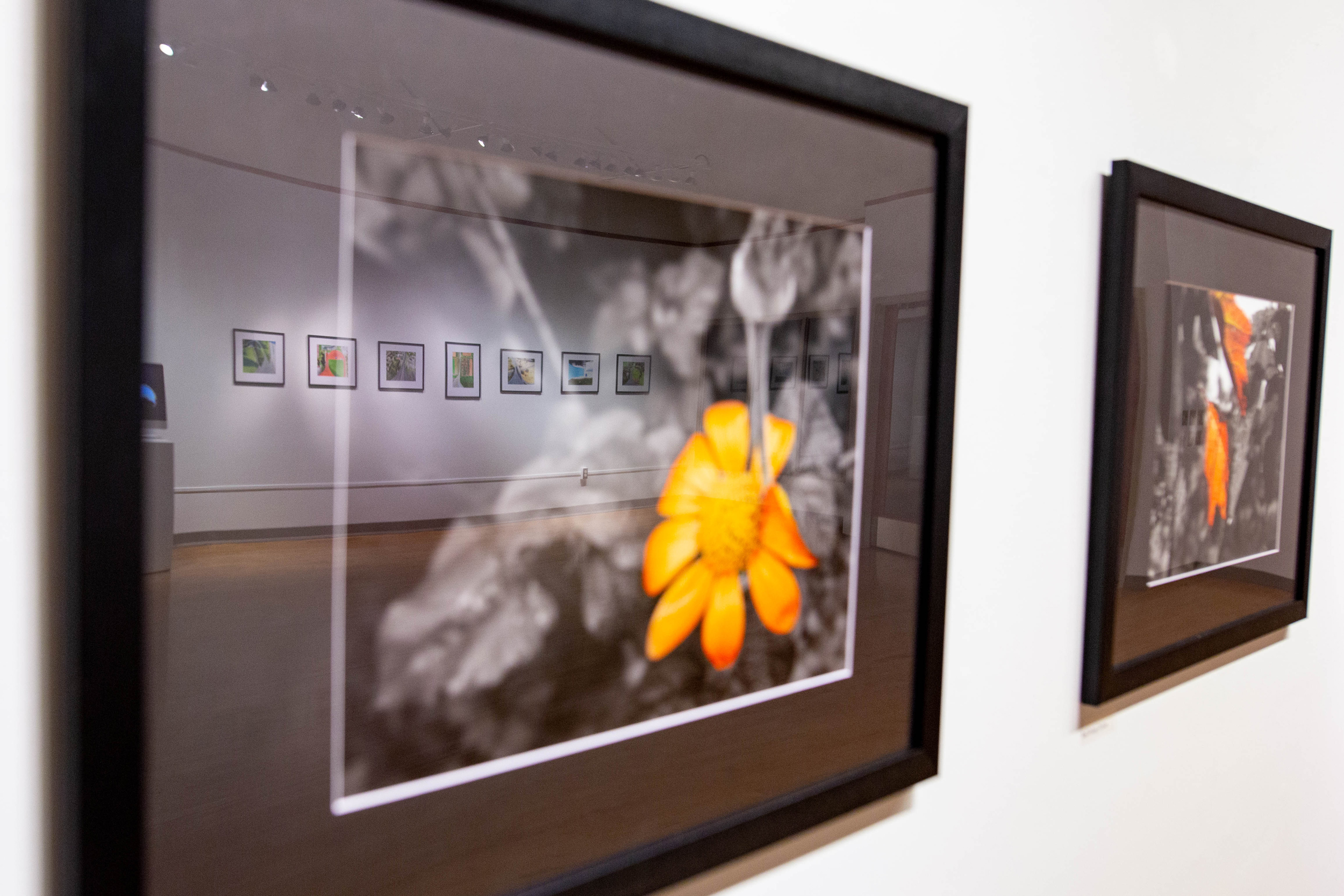 Michaela Lane photo gallery