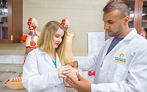 Graduate students examining a model of a brain