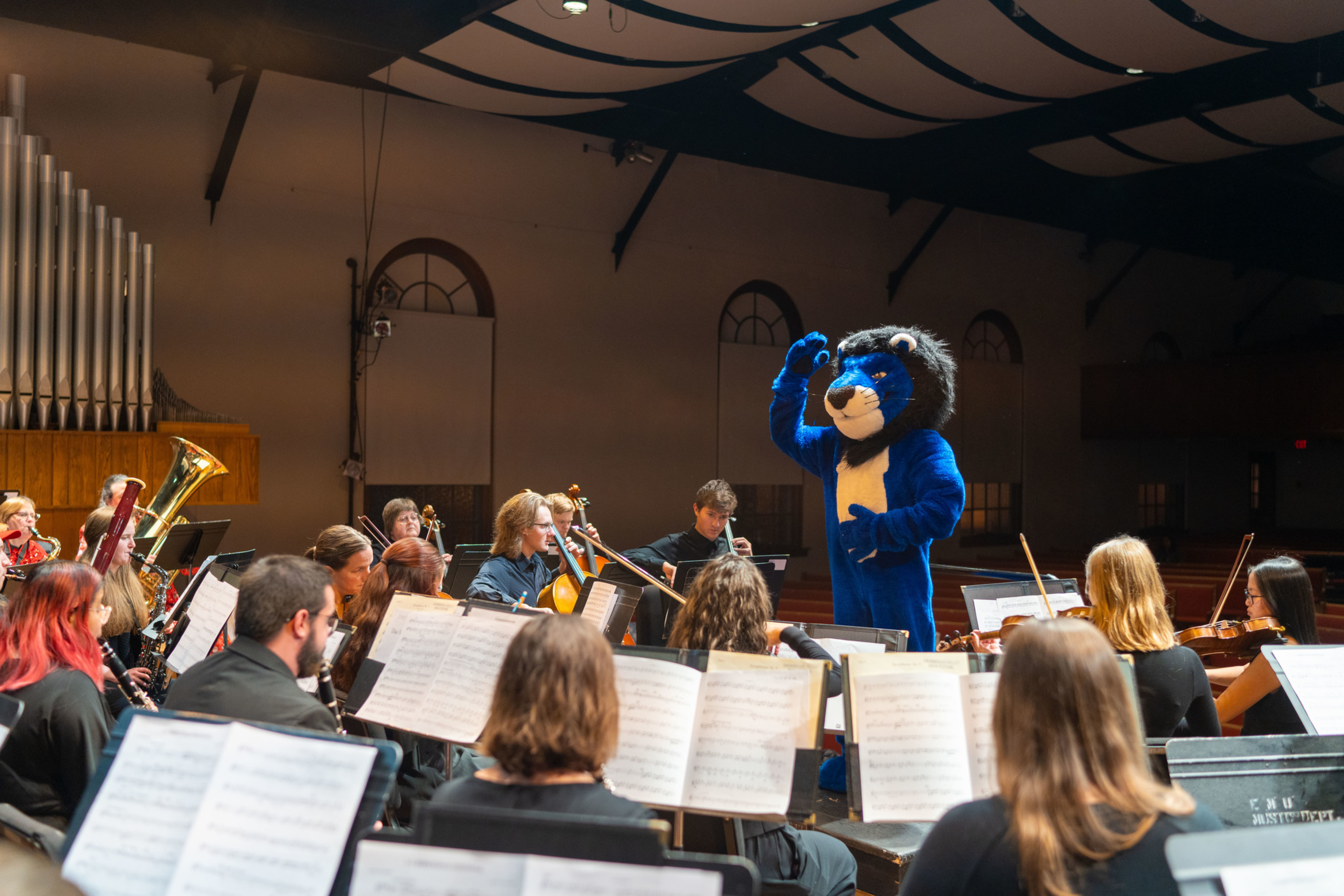 EMU Community Orchestra Harrisonburg with Herm EMU Community Orchestra Herm