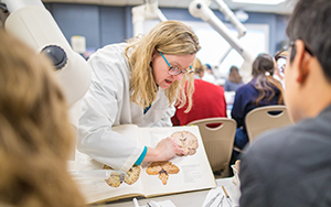 Neuroscience and psychology minors